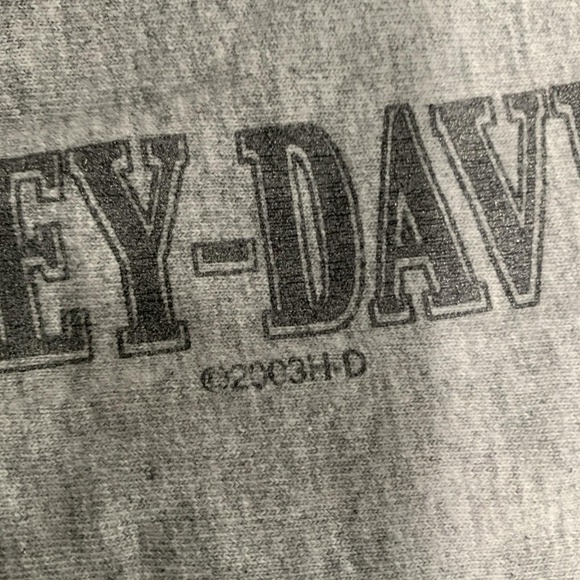 Vtg Harley Davidson L Alamo City San Antonio Long Sleeve T-shirt Gray 4 Hits Y2k - Picture 5 of 13